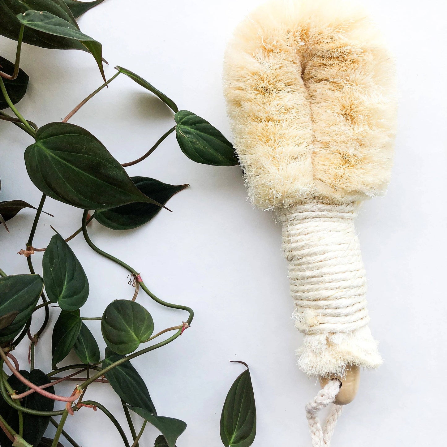 Natural Sisal Dry Brush